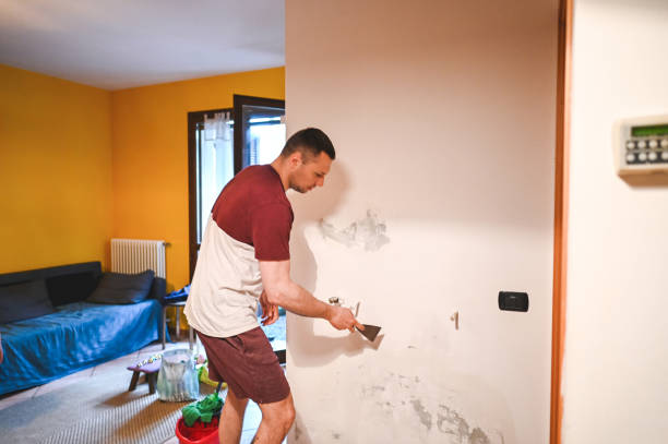 Best Residential Mold Remediation in Waterloo, WI